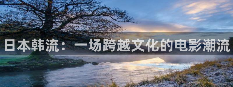 四虎影音免费视频：日本韩流：一场跨越文化的电影潮流