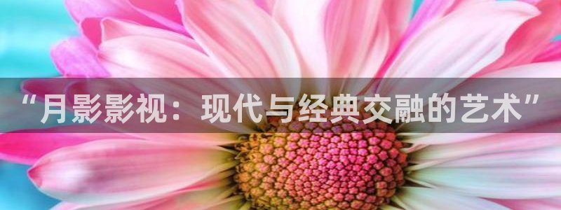 四虎影视中文字幕：“月影影视：现代与经典交融的艺术”