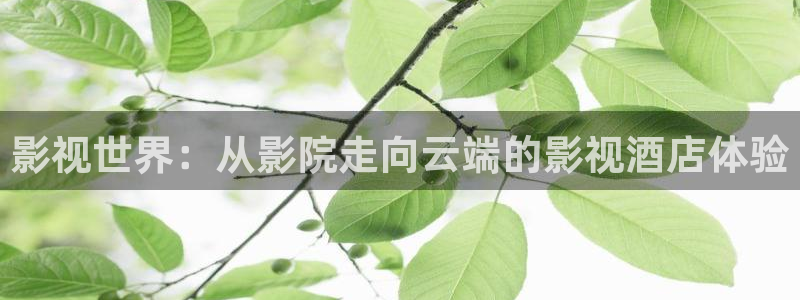 四虎影视国产884a精品亚洲：影视世界：从影院走向云端的影视酒店体验
