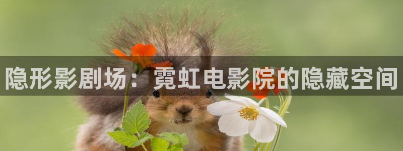 四虎影院免费地址：隐形影剧场：霓虹电影院的隐藏空间